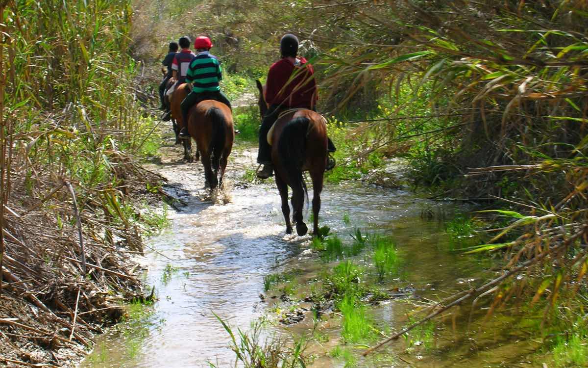 Horse Riding Acivities in Paphos Cyprus